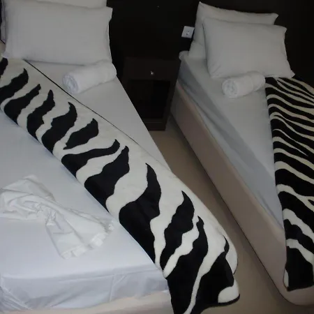 Hotel Anesis